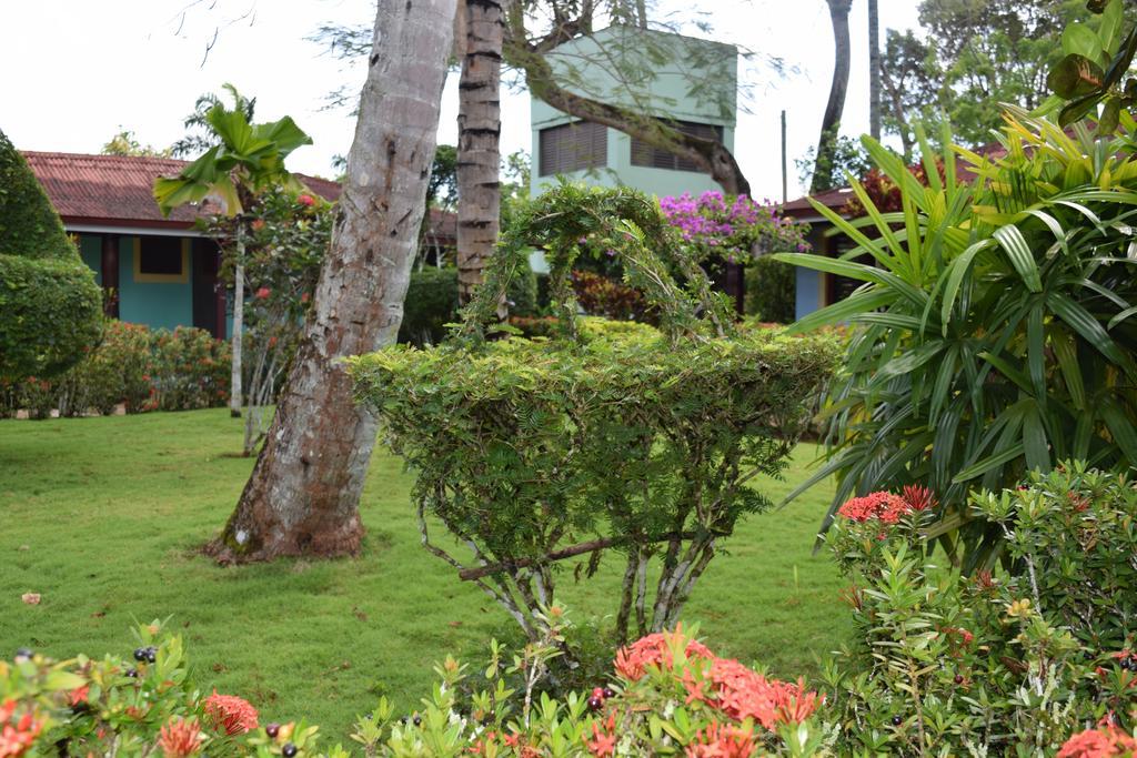 Hotel Palococo Las Terrenas Kültér fotó