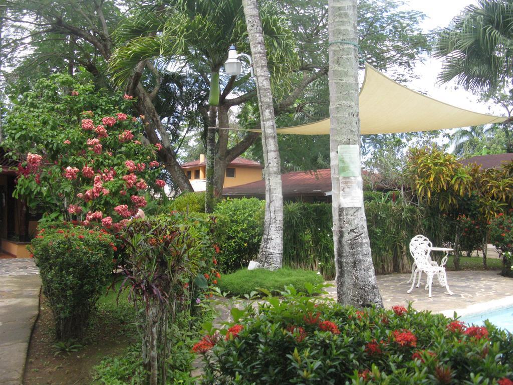 Hotel Palococo Las Terrenas Kültér fotó