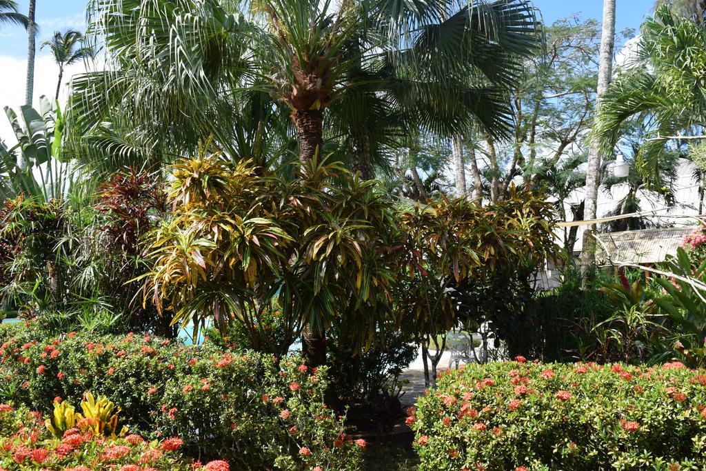 Hotel Palococo Las Terrenas Kültér fotó