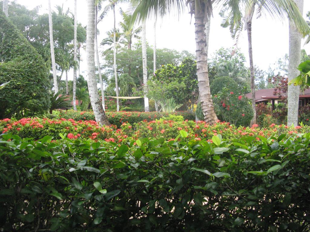 Hotel Palococo Las Terrenas Kültér fotó